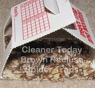 Image result for Bug Traps Indoor