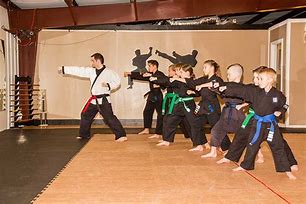 Image result for Martial Arts Techniques School