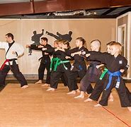 Image result for Martial Arts Supplies School
