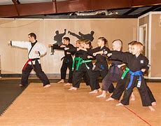 Image result for Martial Arts Schools