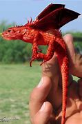 Image result for Dragon Head Lizard