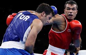 Image result for Indian Mix Boxing Federation Logo