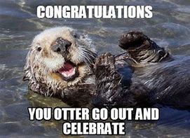 Image result for Congratulations Animal Meme