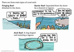 Image result for Coral Jokes