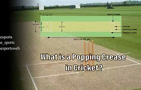 Image result for Cricket Crease