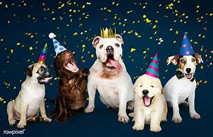 Image result for Happy New Year Eith Dogs