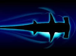 Image result for BAPE Shark Logo Air Force