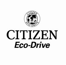 Image result for Citizen Eco Drive Battery