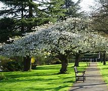 Image result for Selly Park