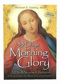 Image result for 33 Days to Morning Glory Outline