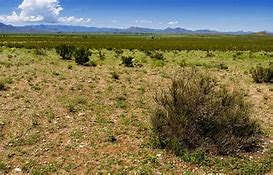 Image result for New Mexico Road Map