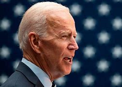 Image result for 2 Joe Biden's