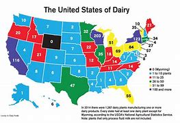 Image result for Iph Dairy Products