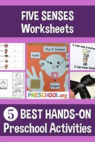 Image result for Preschool Five Senses Bulletin Board