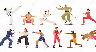 Image result for Different Martial Arts Styles