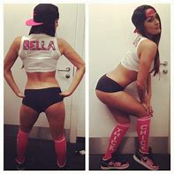 Image result for WWE Nikki Bella Pink Outfit