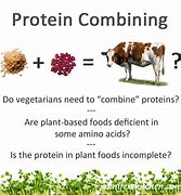 Image result for Protein Combining
