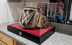 Image result for WWE Belt Display Case
