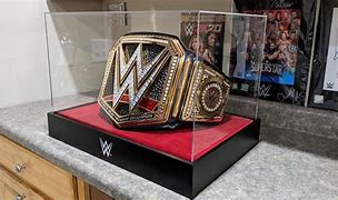 Image result for WWE Computer Case