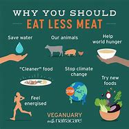 Image result for Why Are People Vegan