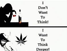 Image result for Memes to Stop Alcohol