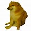 Image result for Doge Meme Template