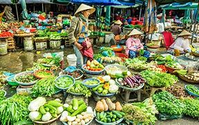 Image result for Bali Local Palnt
