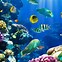 Image result for iPhone 6s Fish Wallpaper