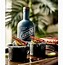 Image result for aguardients