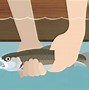 Image result for Fishing Hook Graphic