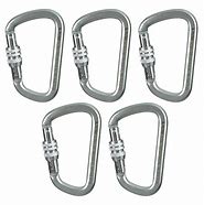 Image result for Carabiner Clip with Screw