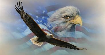 Image result for Eagle American Flag Desktop Wallpaper