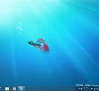 Image result for Windows 7 Fish Wallpaper