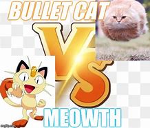 Image result for Bullet Cat Meme