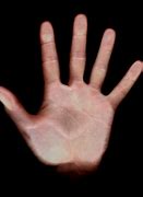 Image result for Palm Hand Greenscreen