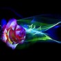 Image result for Glowing Rose Wallpaper