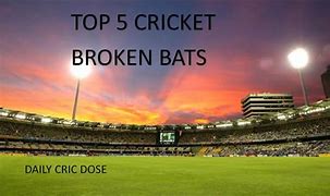 Image result for SF Cricket Bats