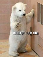 Image result for We Got This Cute Animal Meme