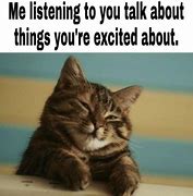 Image result for Cat You Need a Hobby Meme