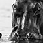 Image result for David Yarrow Photography Woman