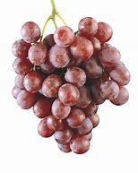 Image result for Grape Fermentation