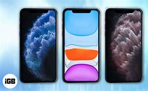 Image result for Latest iPhone 11