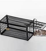 Image result for Rat Trap India Live