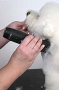 Image result for Professional Dog Grooming Clippers