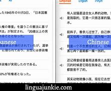 Image result for Chinese and Japanese Language Difference