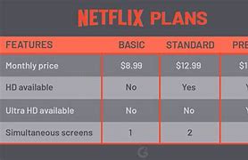 Image result for Netflix per Month