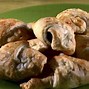Image result for Are Armadillos Meat