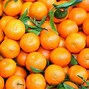 Image result for Big Orange Types