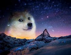 Image result for Galaxy Dog Meme