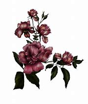 Image result for Gothic Flower Drawing